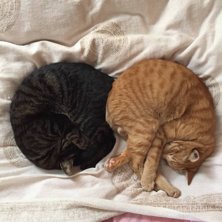 A27f0017 2ea4 4428 9891 b13143f49d89