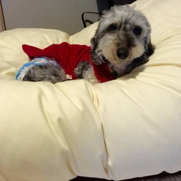 A27f265c bf0e 4617 9fe5 4a82ad5c4313