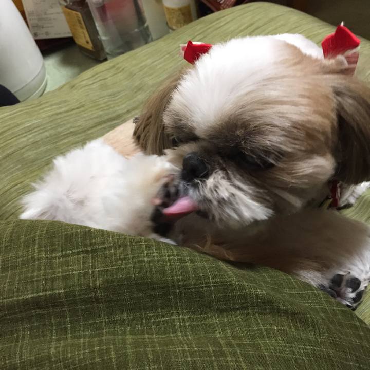 A27f2b97 7049 4518 b7b0 98294847304f