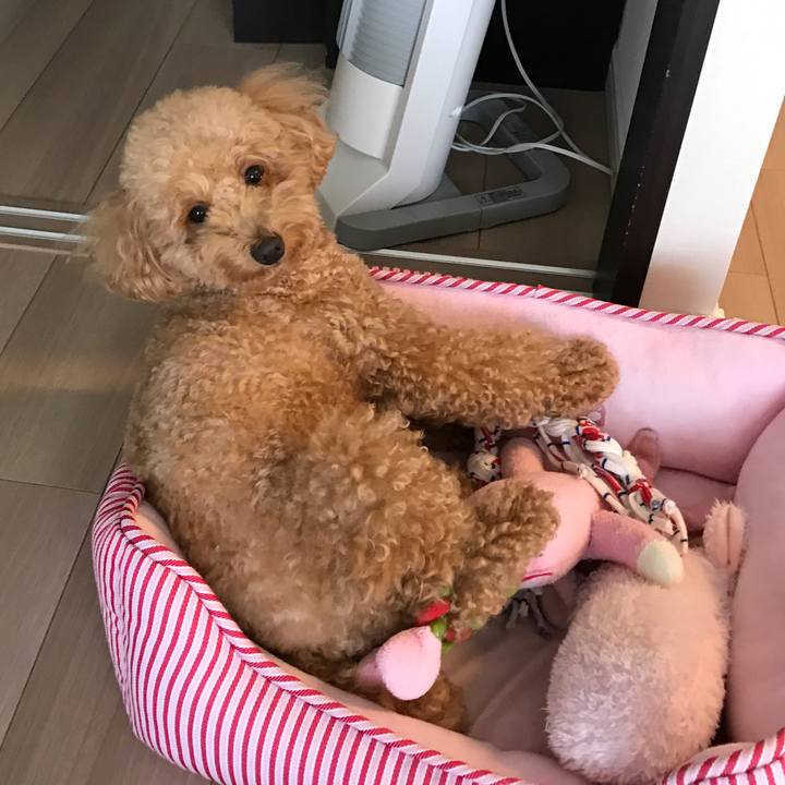 A27fc1f0 5feb 4cb6 9ac5 d04ffdde3e84