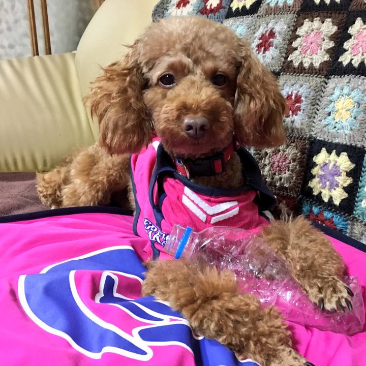 A27ff923 2dea 46dc bb37 af1d2bfafb89