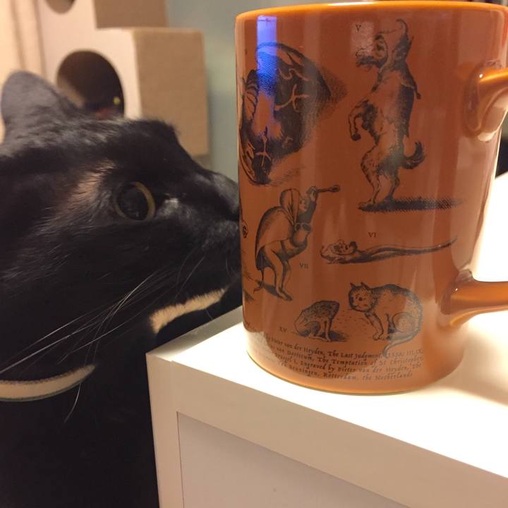 A280b6dc 847c 42e5 983d 2890af8fb300