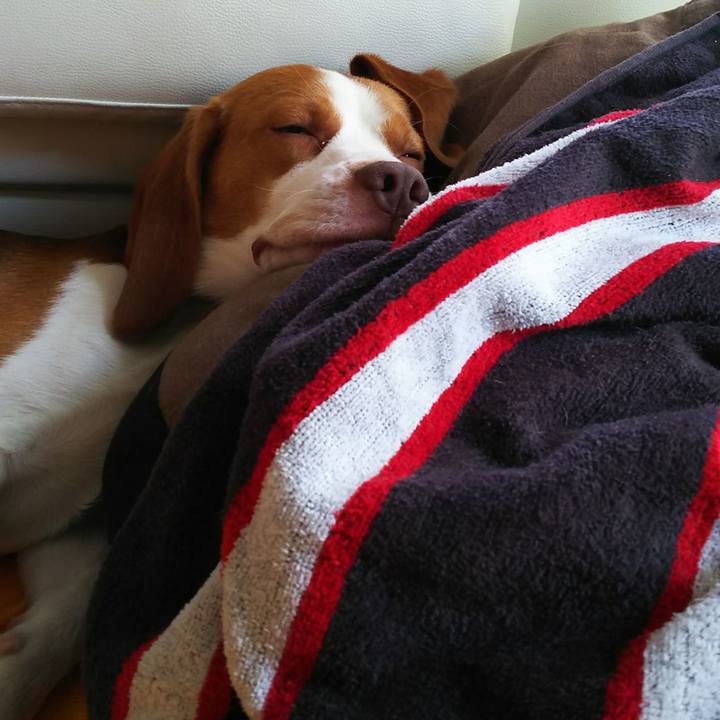 A2813fa2 5eb7 4710 bb42 531fdaca0e45