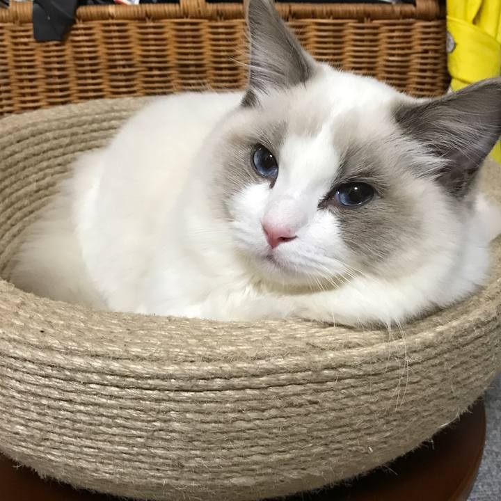 A2814f22 4d81 49dc a5cb 05b962cee533