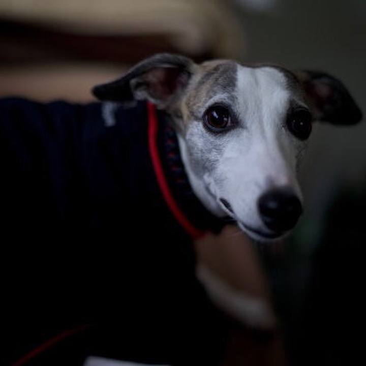 A281d919 bb8d 4875 a85a 5836bbebf69f