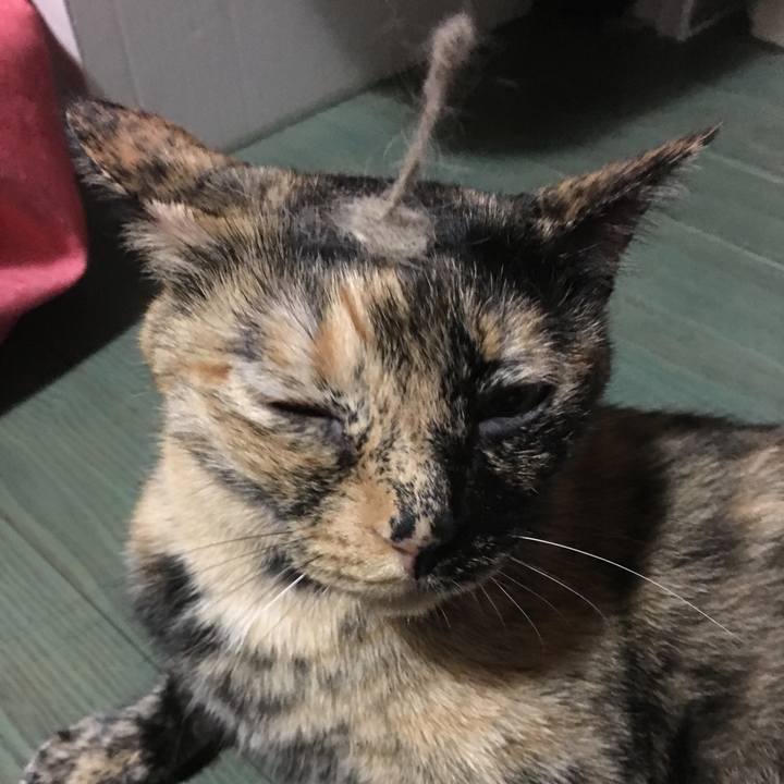 A2820f11 4d48 48f6 a7f1 e39a808fc777