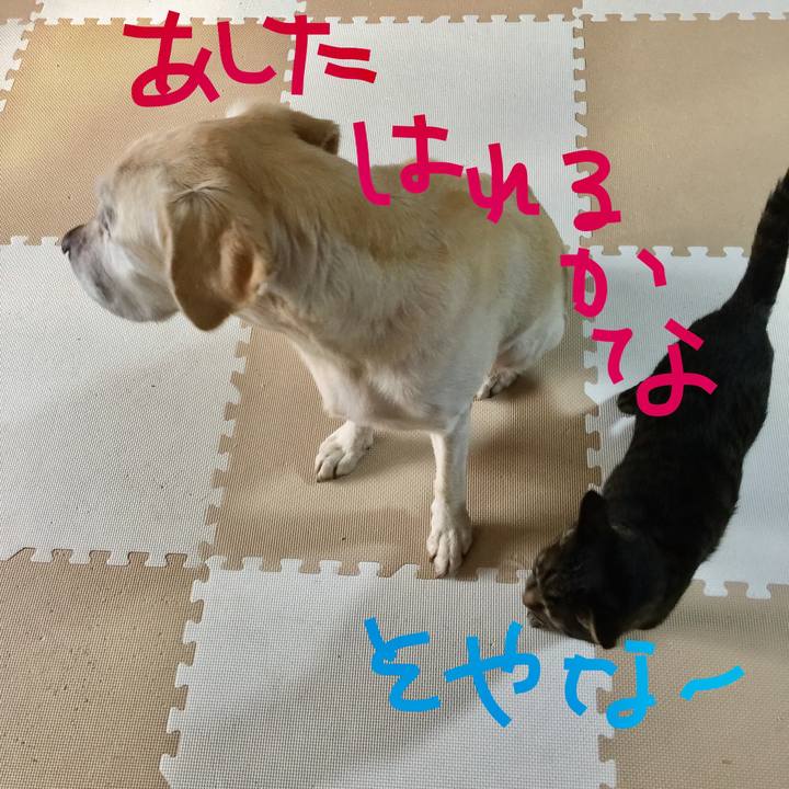 A28213f1 e21b 42fc b63b 6040579b6fe0