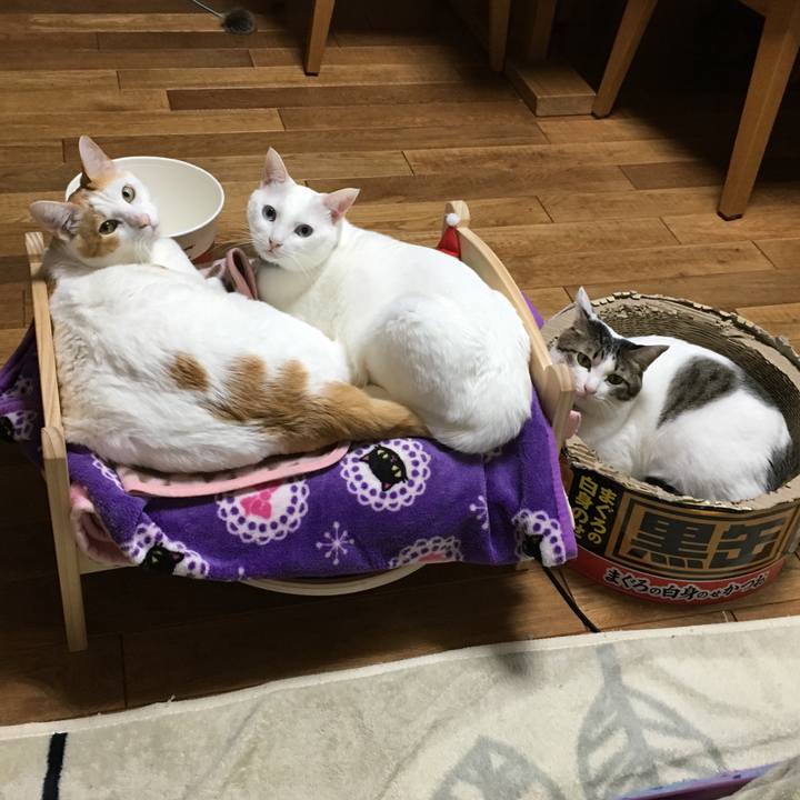 A283420d 7907 42a4 9bca 0b66acee88d2