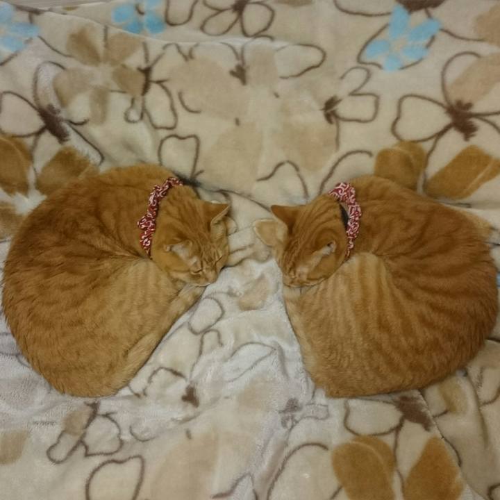 A283f1a4 5baa 4b3f a3bf 951b6e7ec132