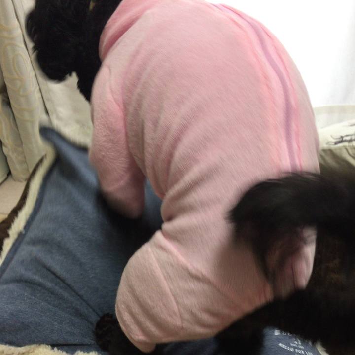 A2846c29 f4b5 4de6 9c15 92ebcdd2b5cc