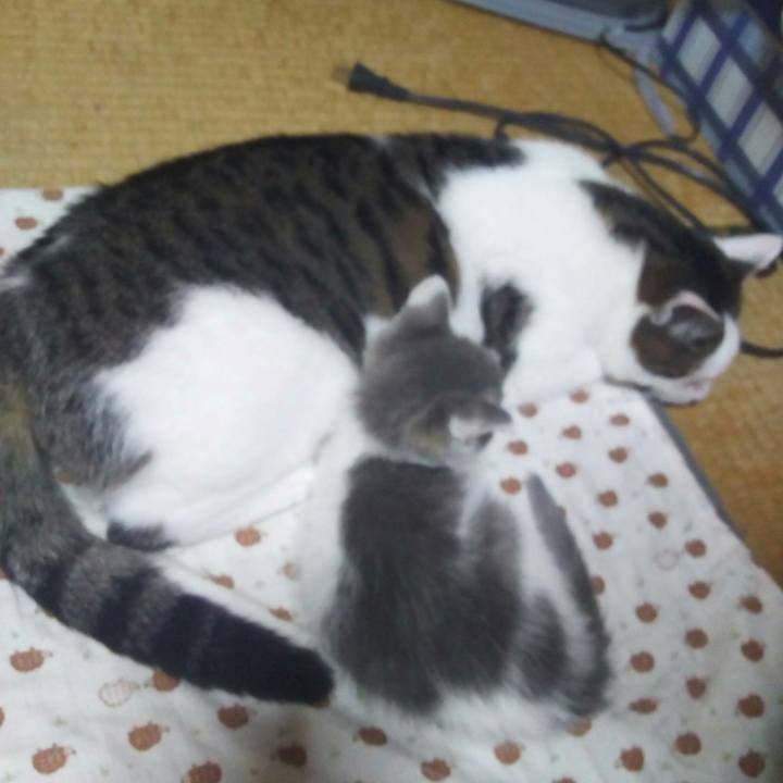 A2854fc4 150a 486d 9d1f 71aa9ec3016e