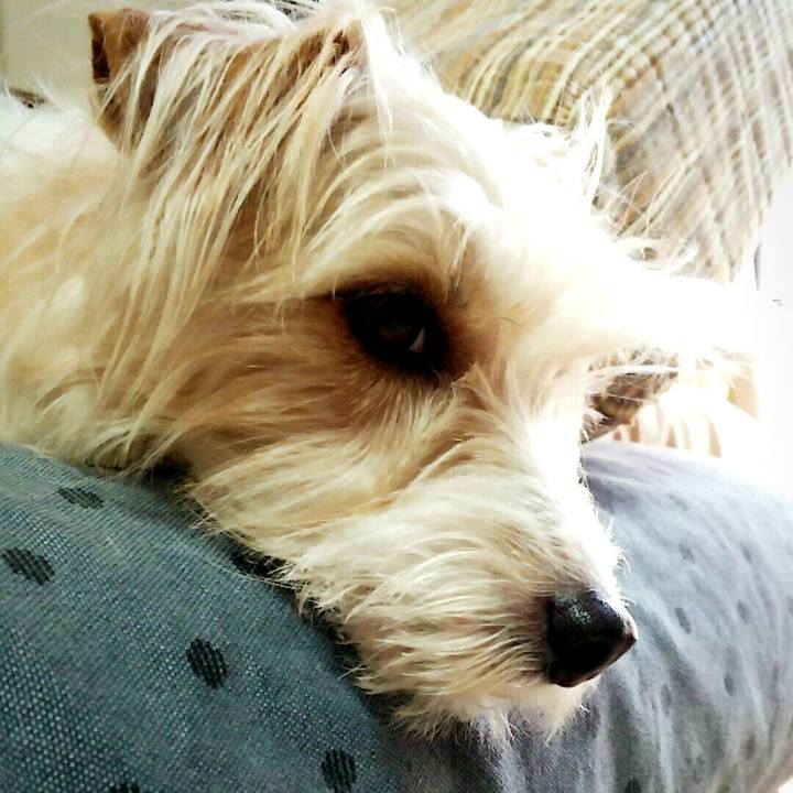 A2859f01 4dbe 44a7 82c3 1f3f67f7a2d0