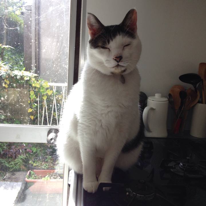 A2863147 009d 4731 8207 257608f4a7ec