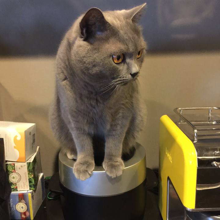 A28687fa a410 41c6 8e6d 4e1eb8717719