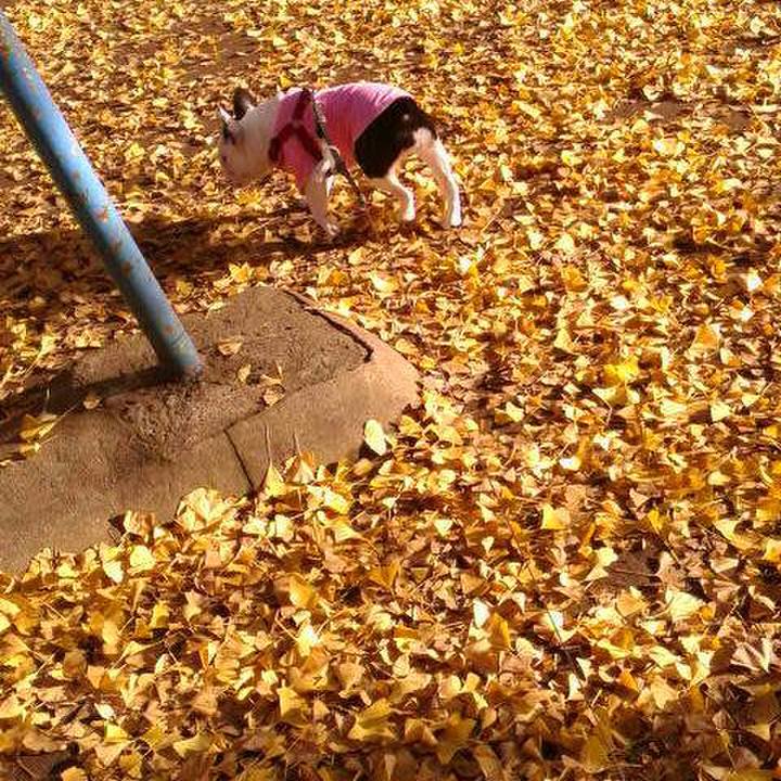 A287178f 3b78 47cd 9ed0 3aabd8450d4c