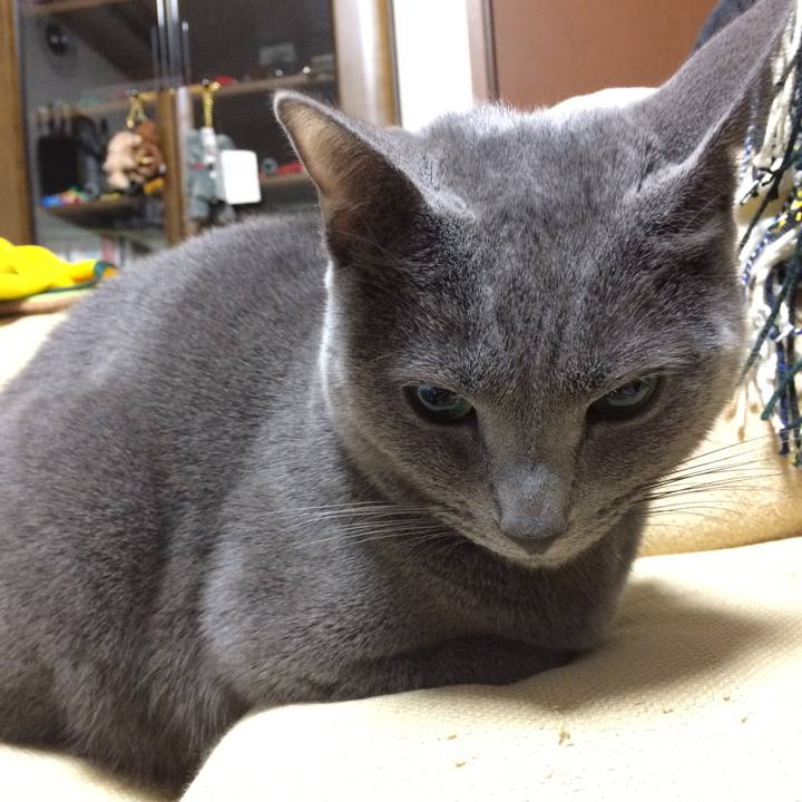 A2880985 9e13 4844 a970 15aaaf2f0ea3