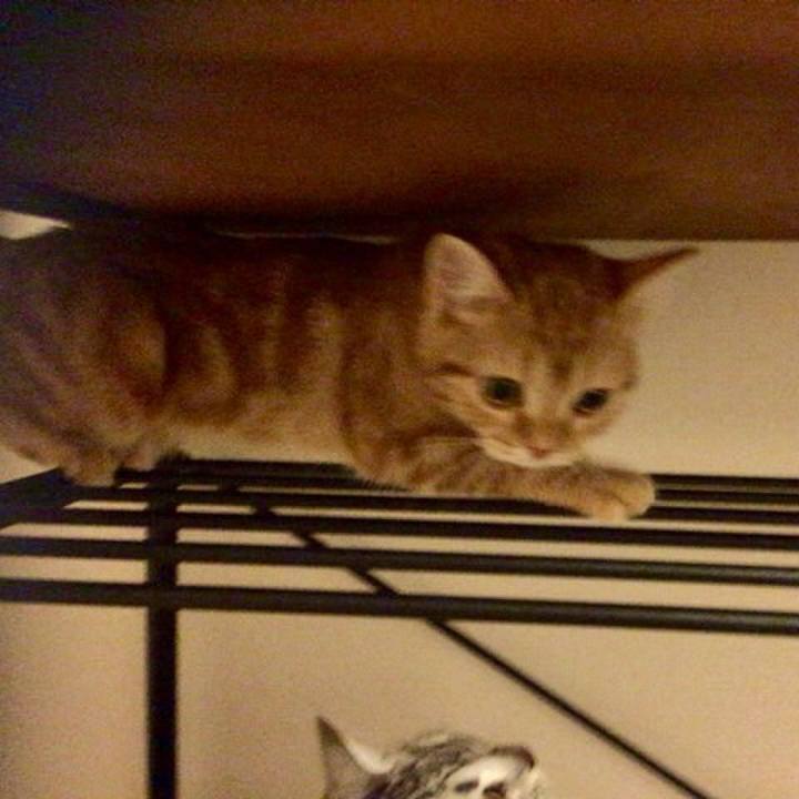 A288296e b774 46e5 a2fe aaf6e145bf75