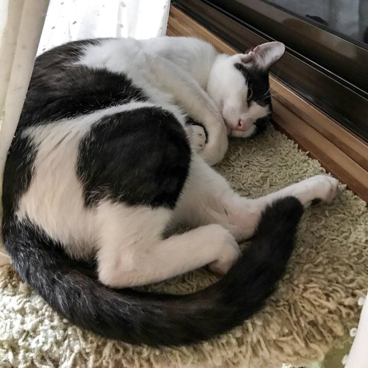 A2884c84 c35d 4026 ac40 f9be526349e2