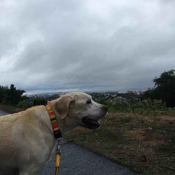 A288aff7 30b8 4ff8 b0bc e368a8142511