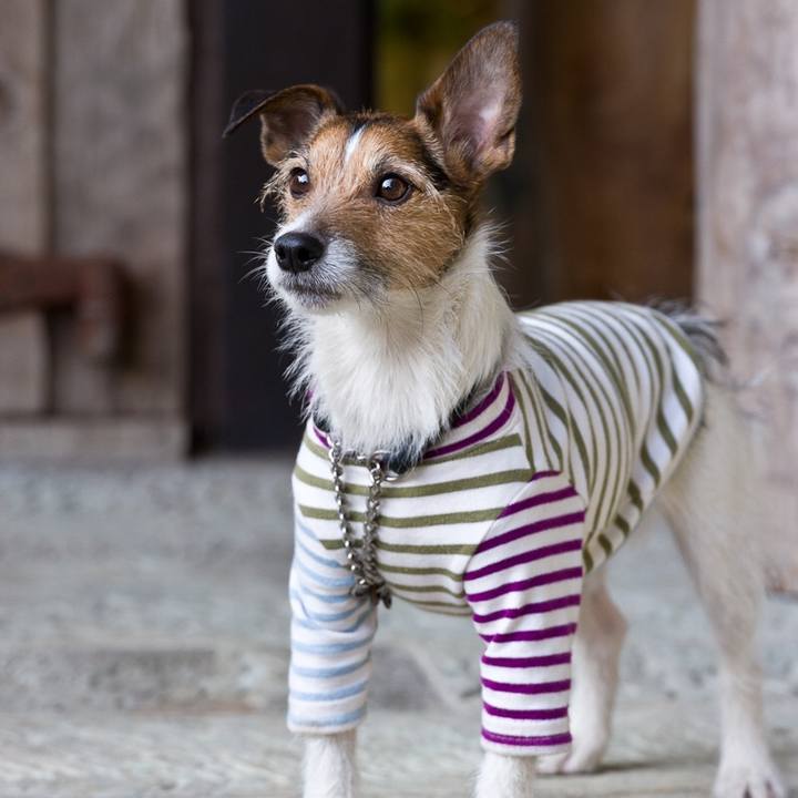 A288e0d4 b49c 45ff 933c dbd9aa0061c5