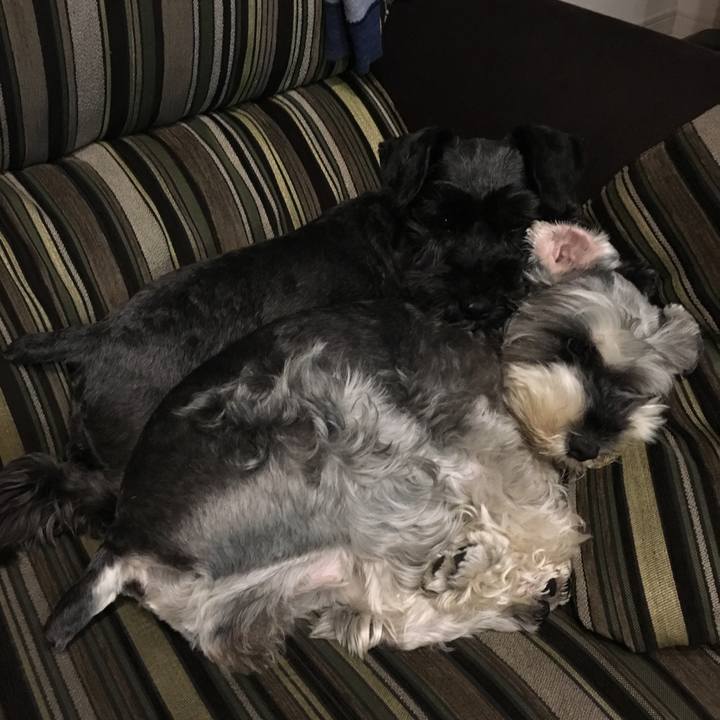 A2892bb7 de4f 4961 a15a 3d210bfb9d4a