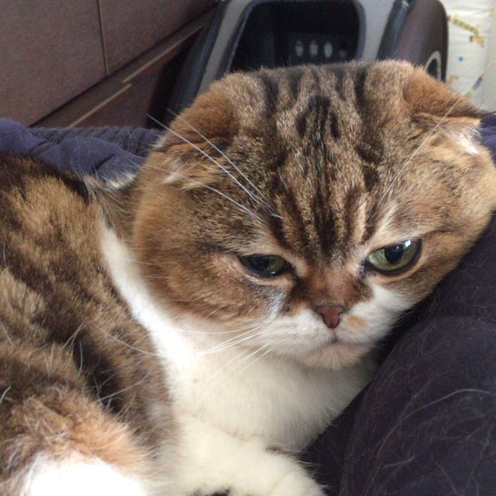 A2898827 19cc 4e1d 9a87 b77f4ca42e5e