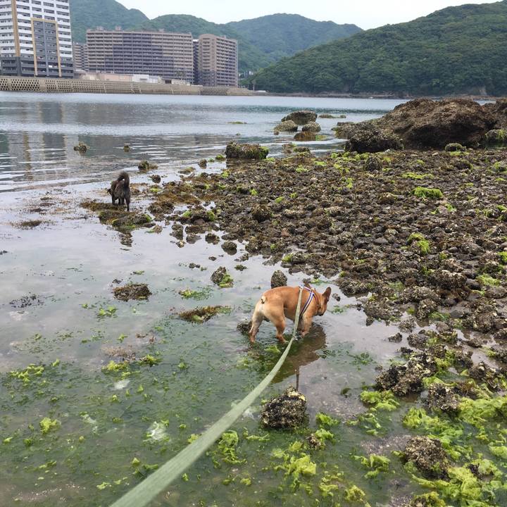 A289f979 614e 4f63 9b60 f2122a1aebbc