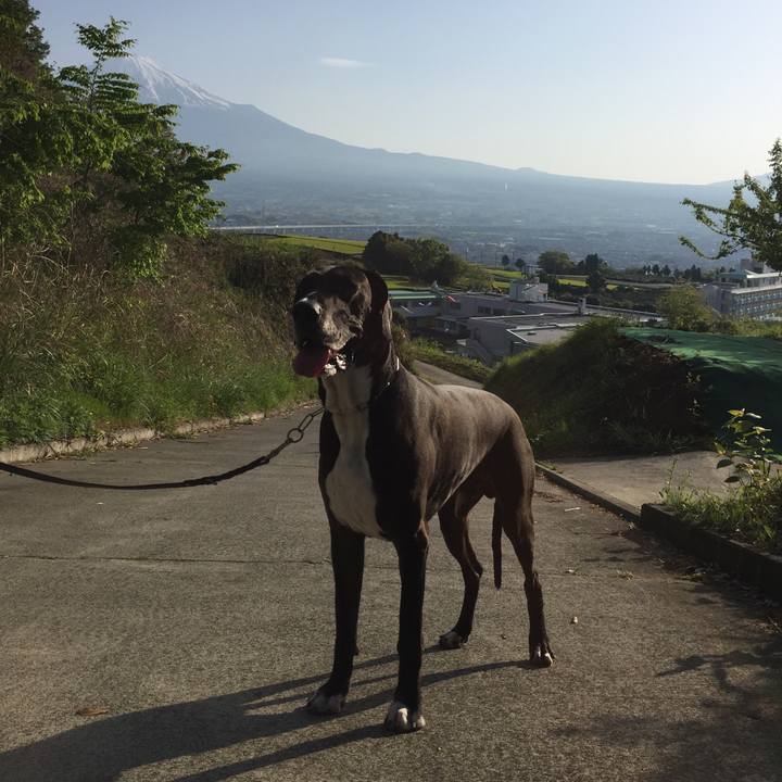 A28a04de a658 4eba b00d 89fca038ee61