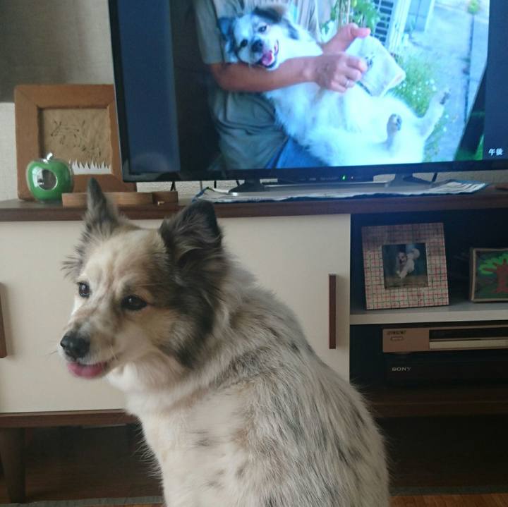 A28a4bd4 3728 4252 8a94 2cbb57ffe03c