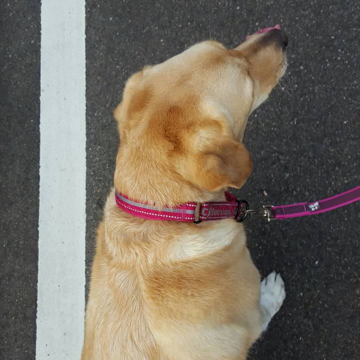 A28a7e25 7426 4575 8832 fedeaaee3f53