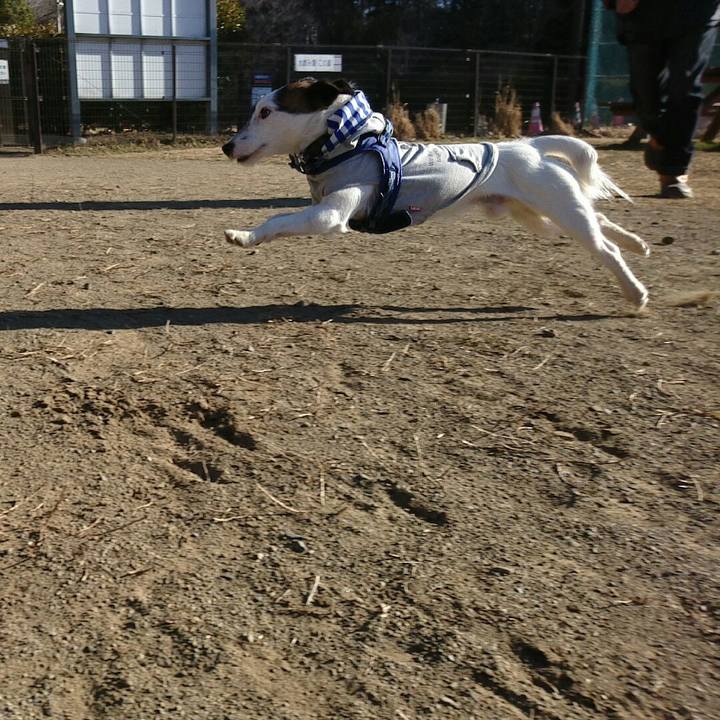 A28aef50 ddfa 4791 bc86 16e4812f3694