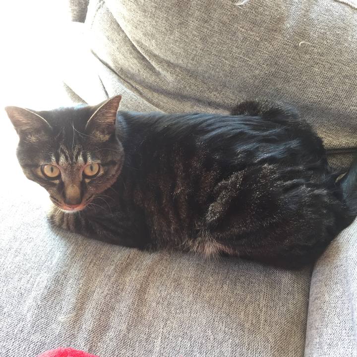 A28b1894 b37b 4c2a 96c7 c9a2423147c3