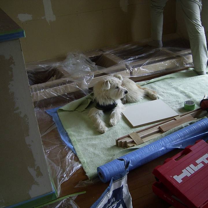 A28b6240 dce2 4752 a5c1 abc18e17e462