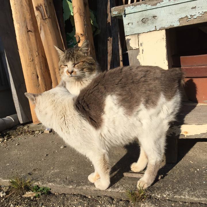 A28b78a3 70bf 4d27 bdca 561fe185b4cf