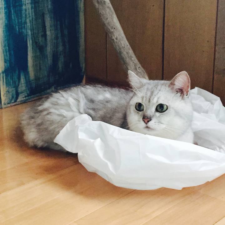 A28b8948 082d 4a1d 943b 0b95ffe14b48