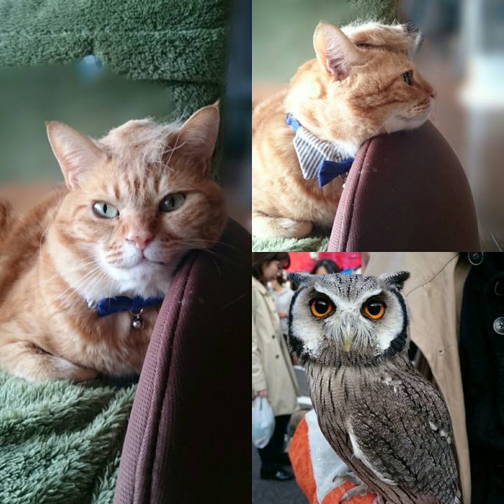 A28bedc4 a068 4651 8a10 00570e9834c6