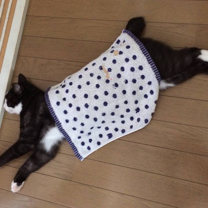 A28c80f8 6aa7 43bd b2d8 b681ff604bfd