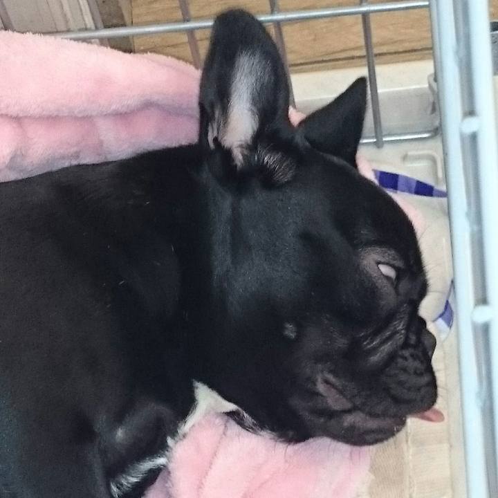 A28d805f eed4 425c af0d a876446cb067