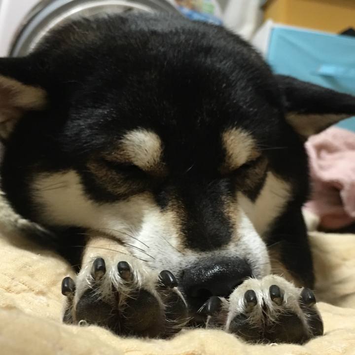 A28d9783 7137 4a66 a7bf 5c6e64d0248f