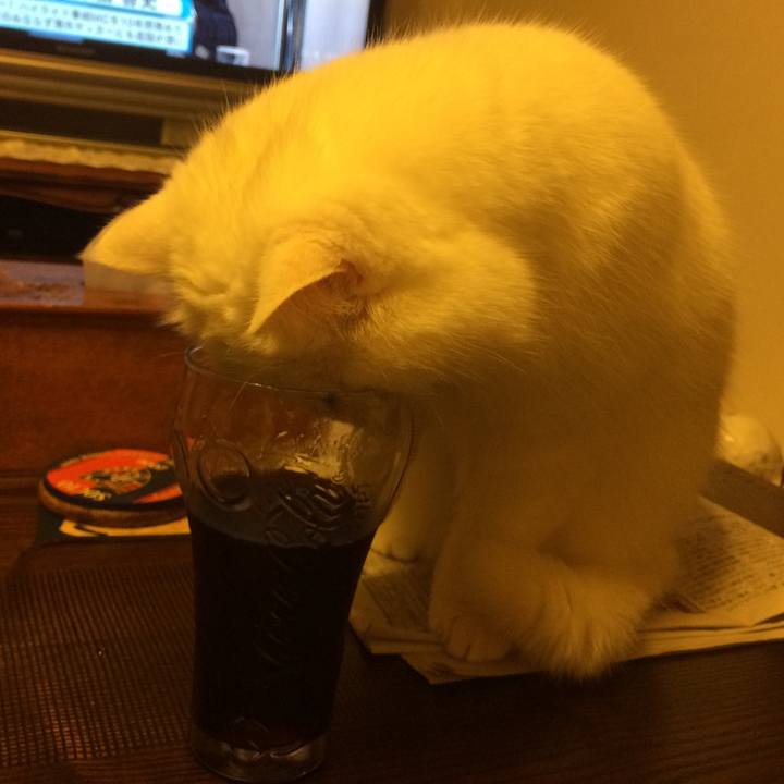 A28dc457 0a96 4169 bf26 784dddac4c20