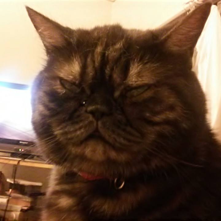 A28dcf1b d322 497f b7ec fe9638cebb22