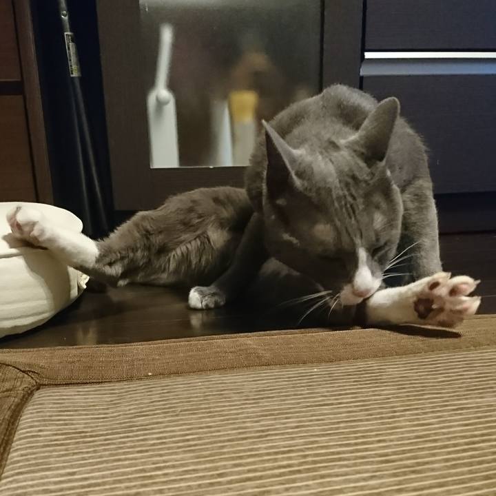 A28e483e cddb 429d ae2f 8012ef142af8