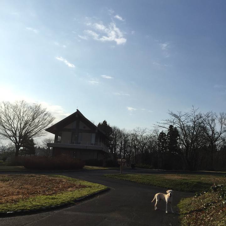 A28eb77c bcf9 4290 bb54 28635239dfb7