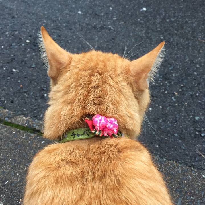 A28ee99e cdb4 4c9d 8939 24af516040b3