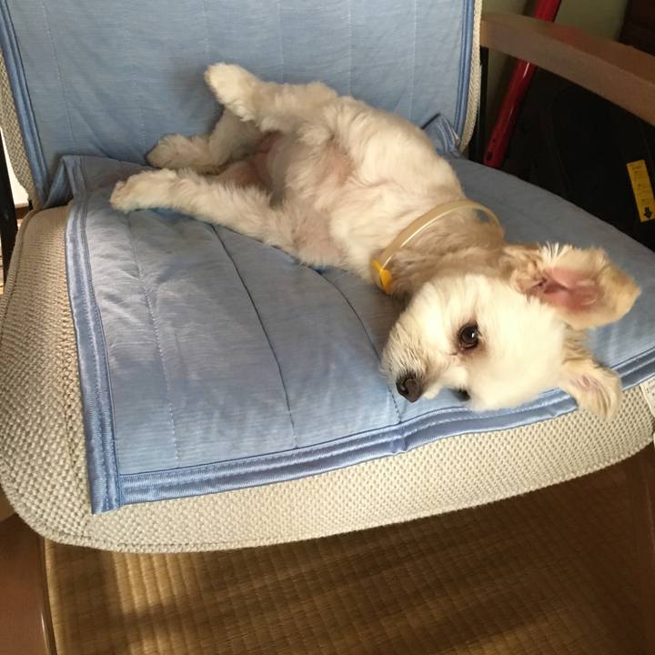 A28f2569 a722 40dc 94ba 5b3b73921b7b