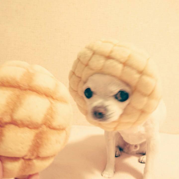 A28f3439 a302 4f1c 8691 55e6af141304