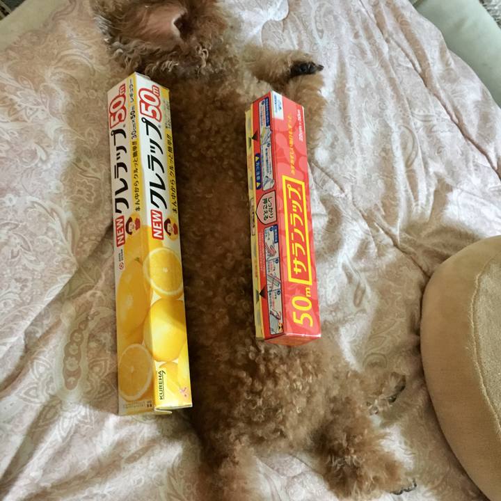 A28f8b47 3700 4c29 ac02 429d6e4c12cc