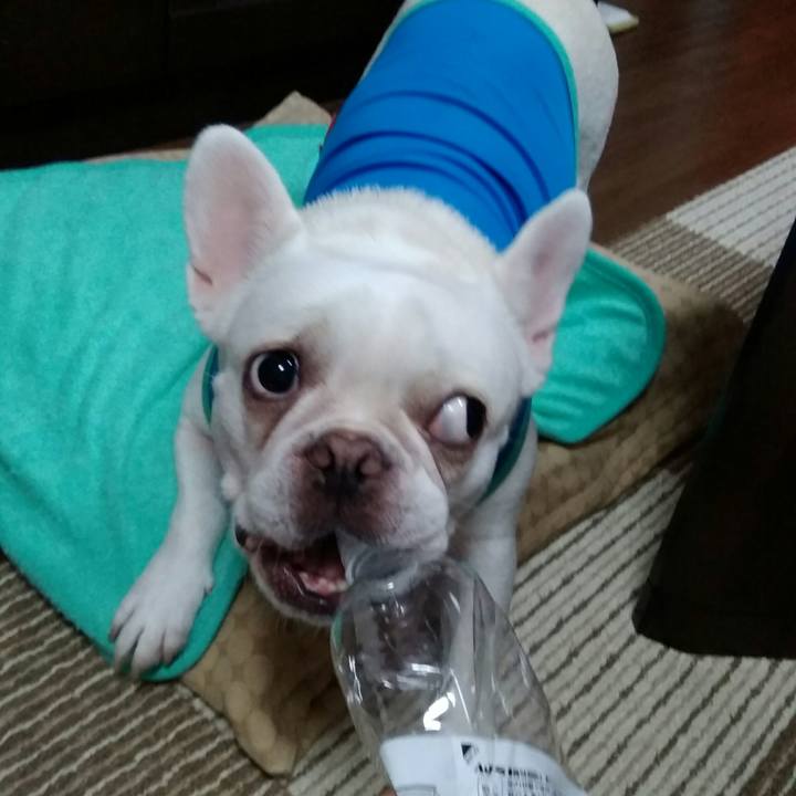 A28fd493 9932 4c64 9ffb 51b96a8c1175