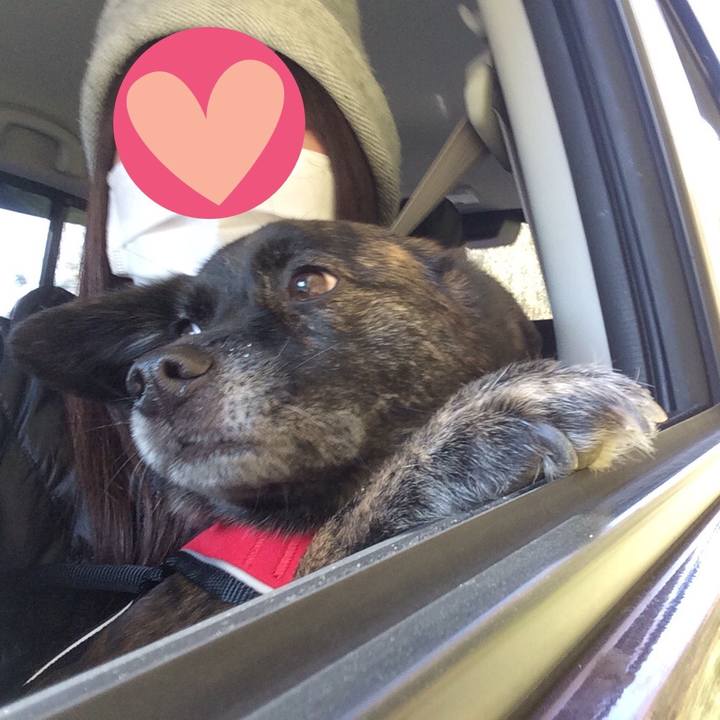 A2904c74 ad66 4db8 b5d9 1c8ccefb2733