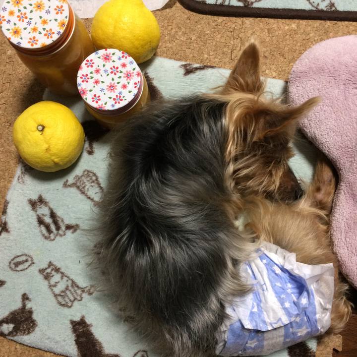 A2905967 347d 42d6 8a59 3f14bac9b4a5